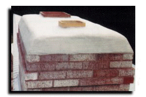 chimney with CrownSeal applied